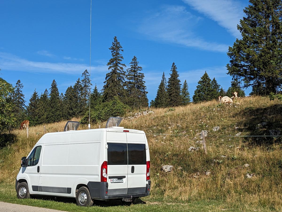 Primary Image for F/HB9VKL