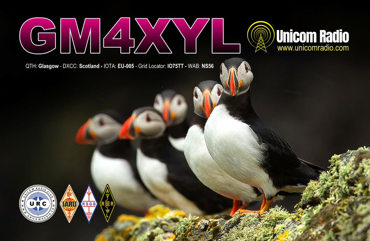 Primary Image for GM4XYL