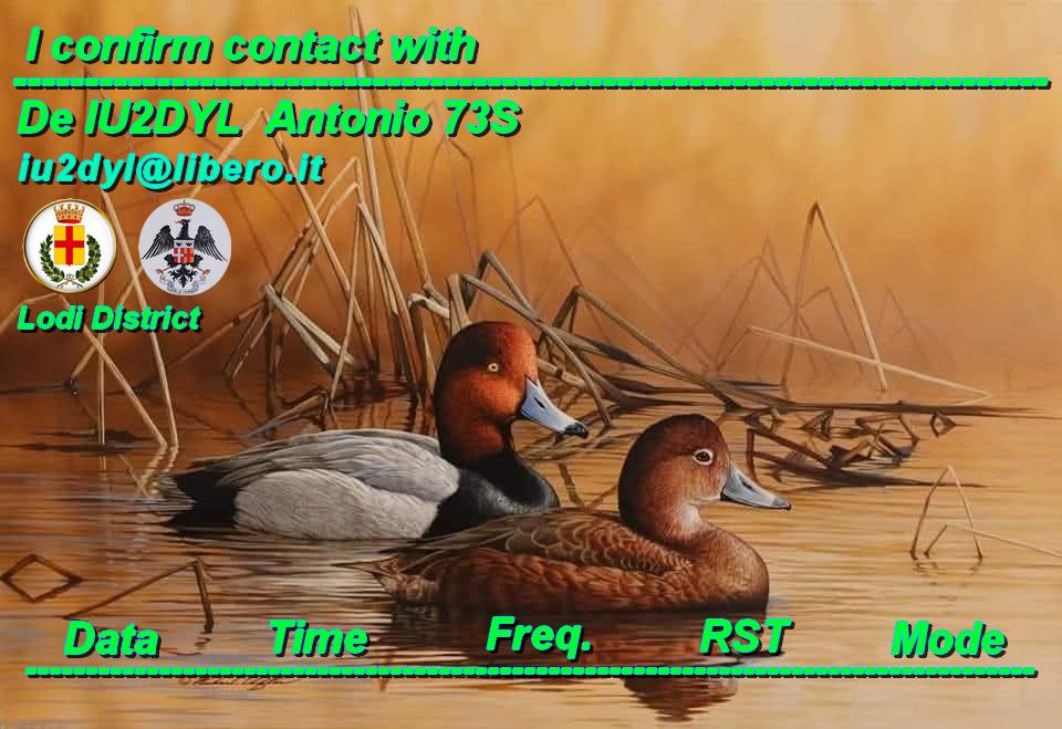 Primary Image for IU2DYL