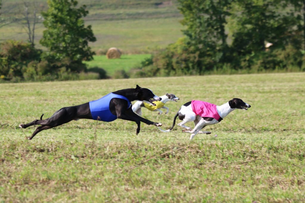 Primary Image for KB1NAL