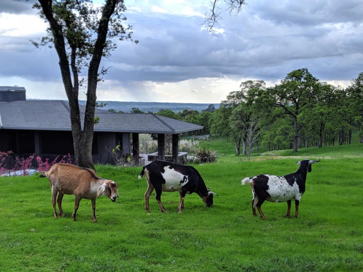 Primary Image for KO6KUL