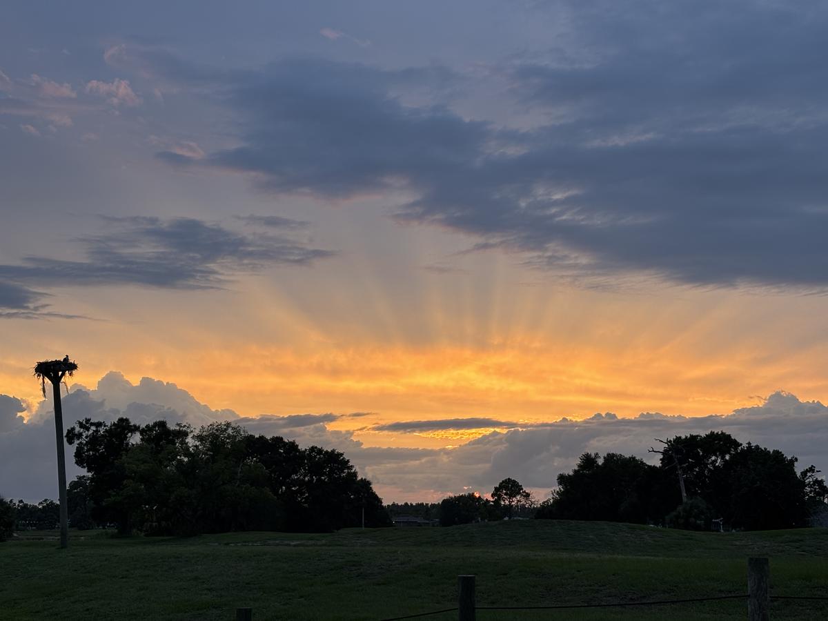 Primary Image for KW4L