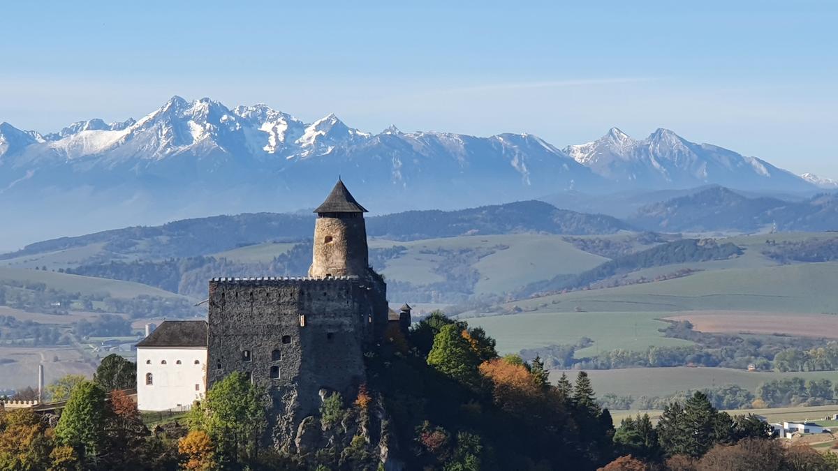 Primary Image for OM8SL