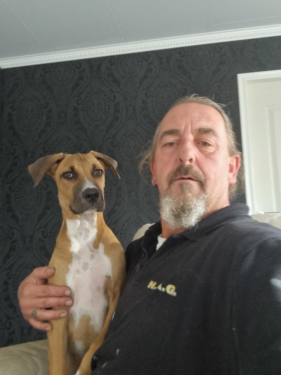 Primary Image for PD4RL