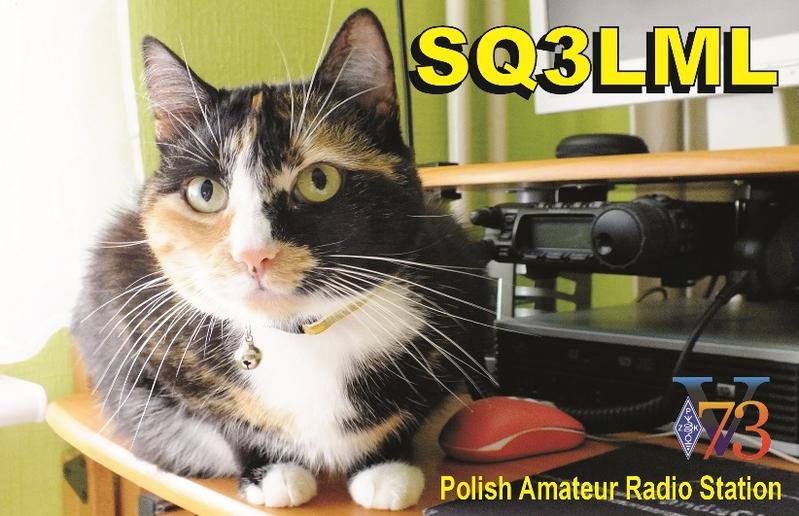 Primary Image for SQ3LML