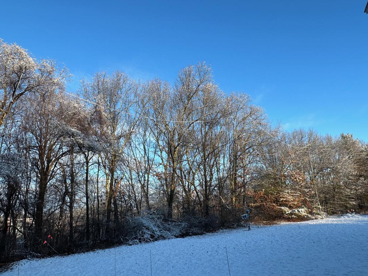 Primary Image for W1BCL