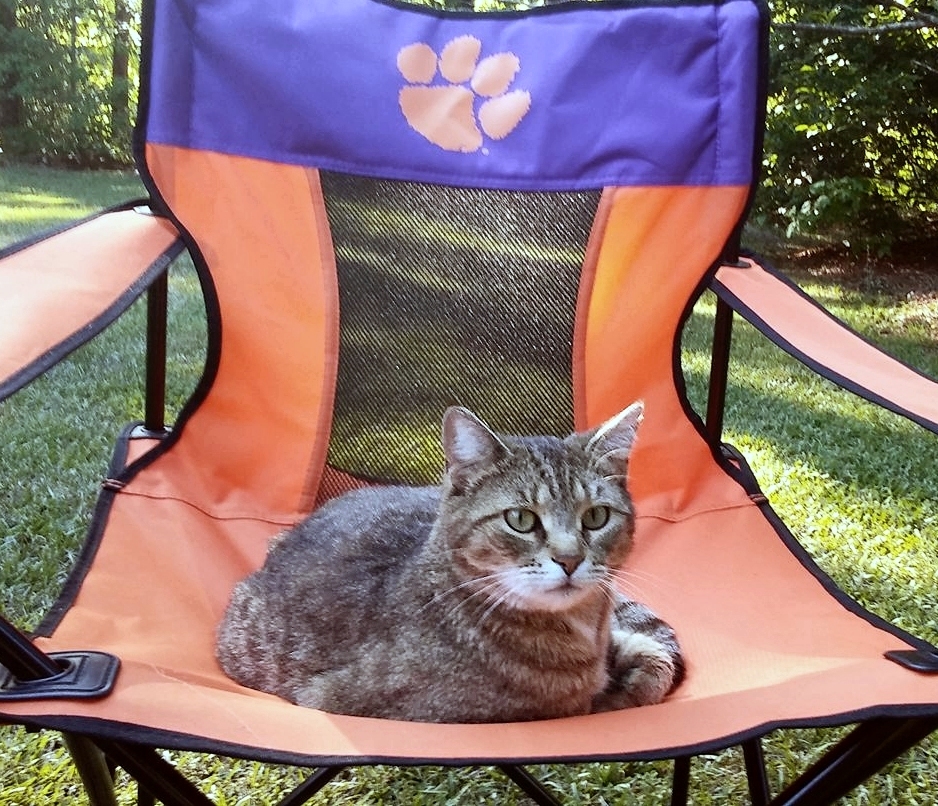 Primary Image for W4WEL