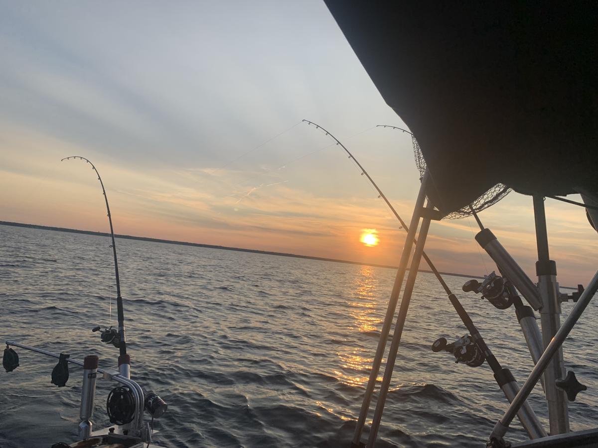 Primary Image for WD8KLL