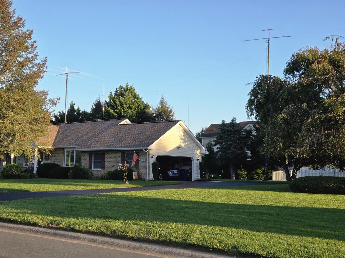 Primary Image for WF1L