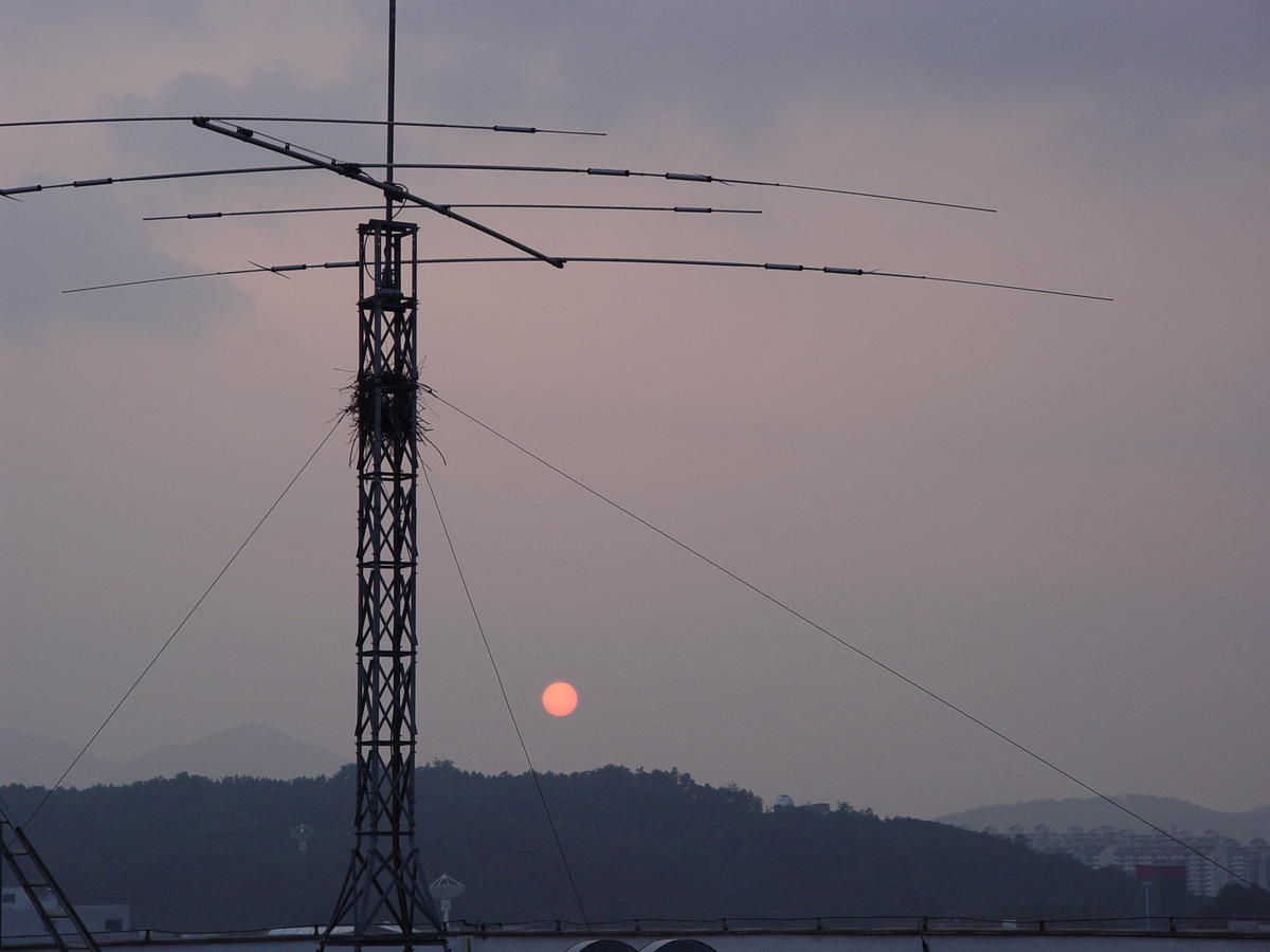 Primary Image for 6M0MM