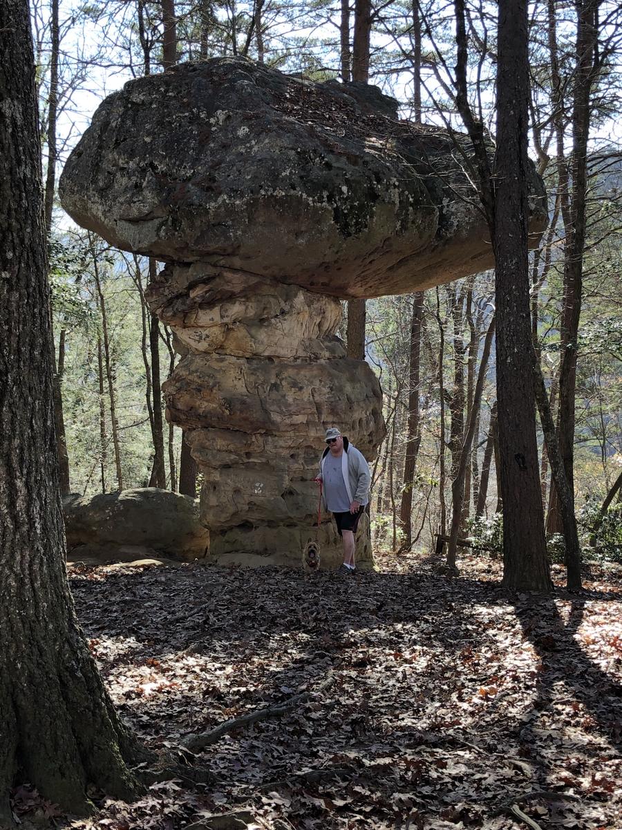 Primary Image for AD4FM