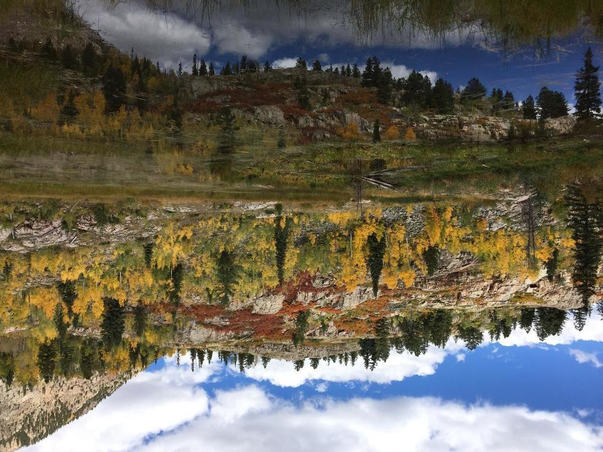 Primary Image for AK0CM