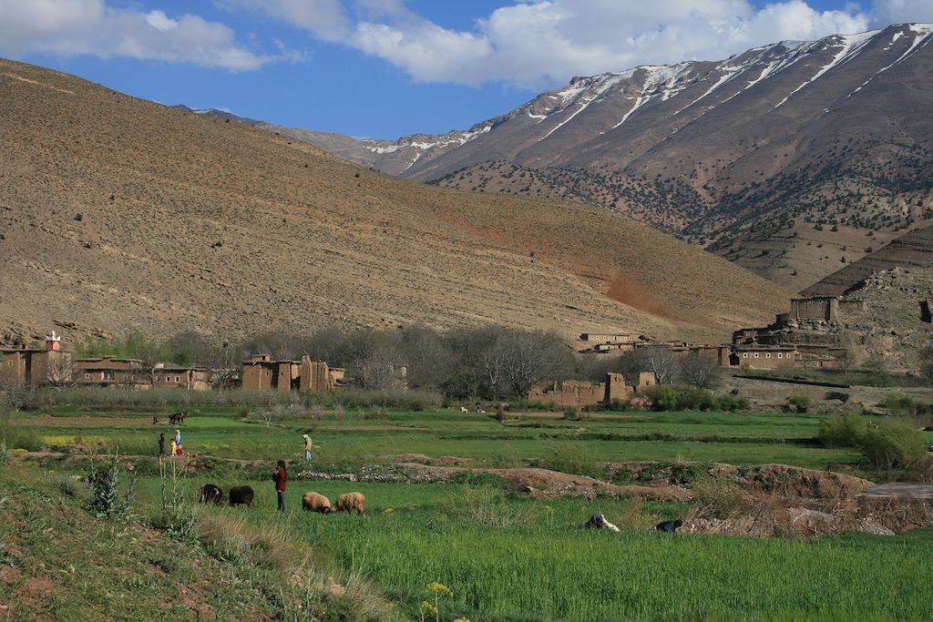 Primary Image for CN25JIM