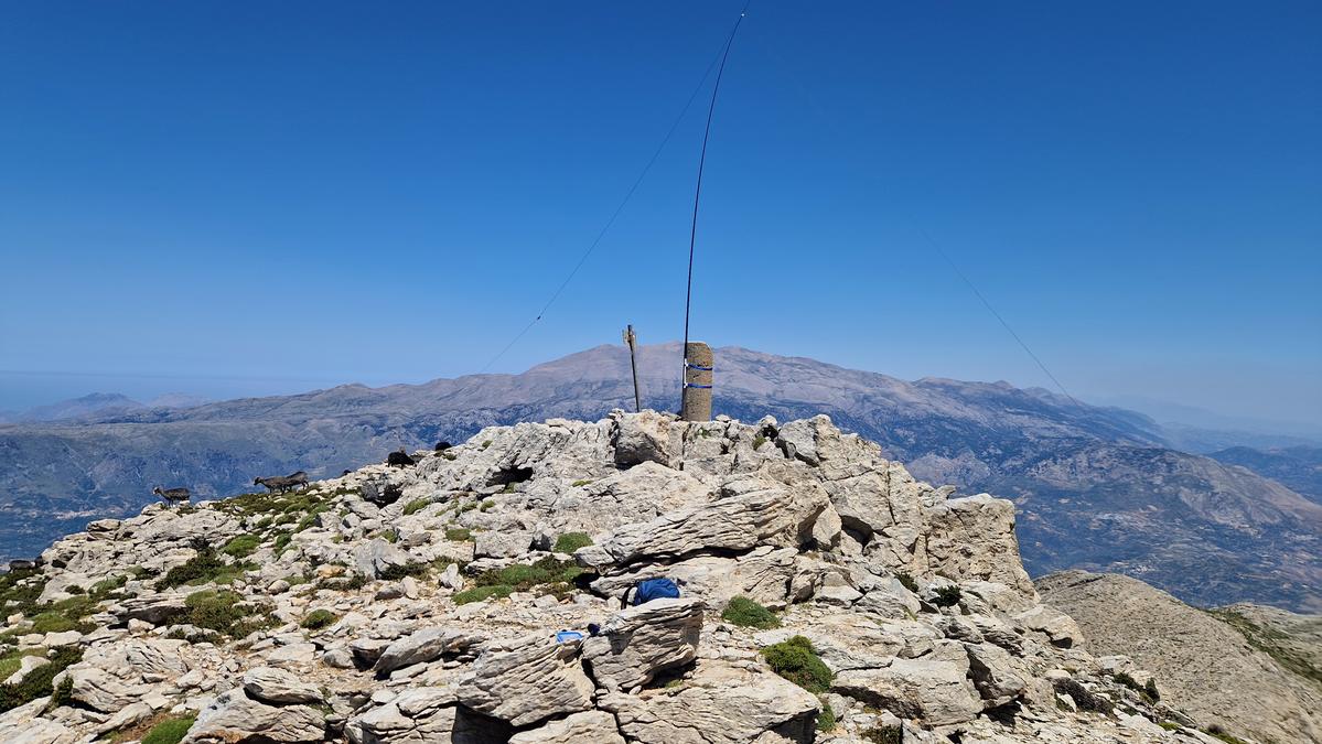 Primary Image for DH1WM