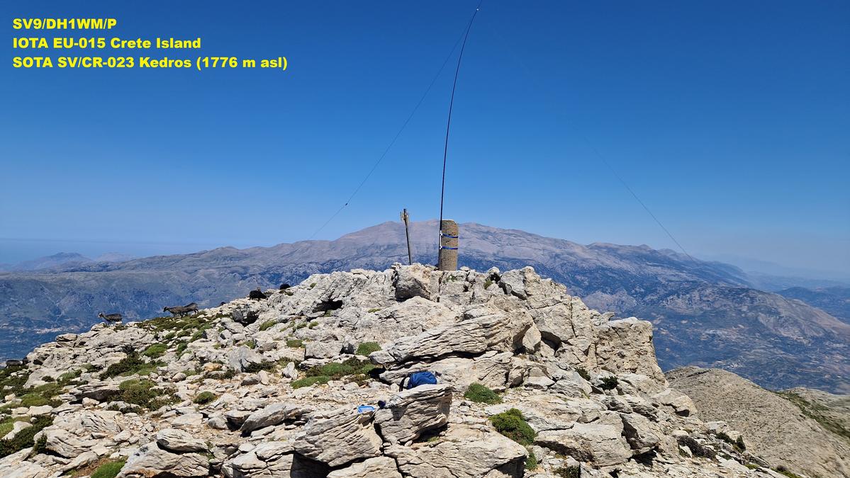 Primary Image for DH1WM