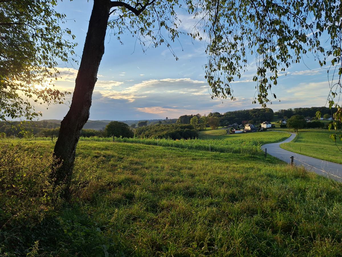 Primary Image for DH9BM