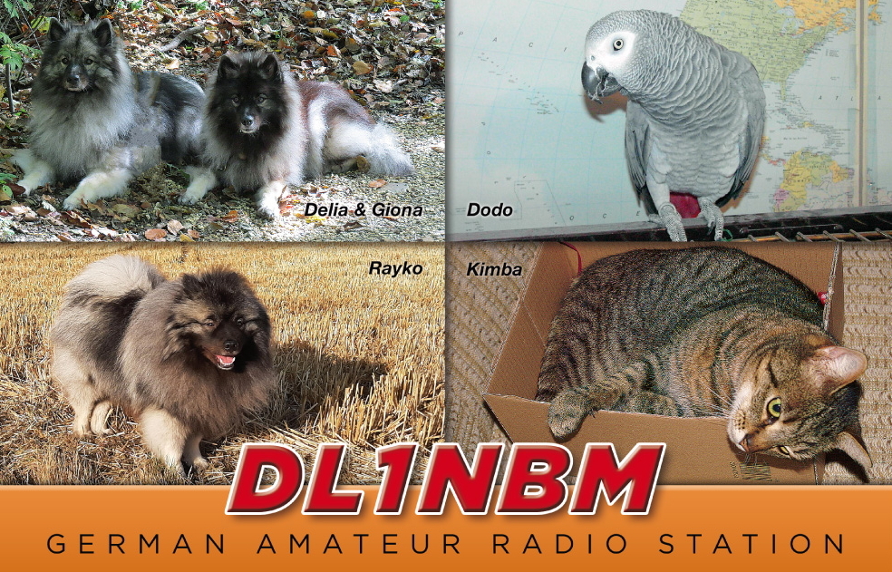 Primary Image for DL1NBM