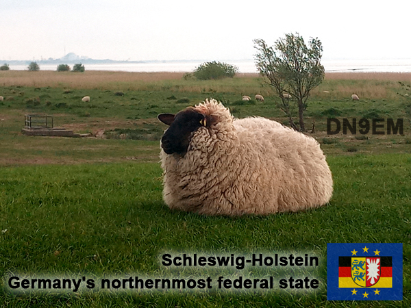 Primary Image for DN9EM