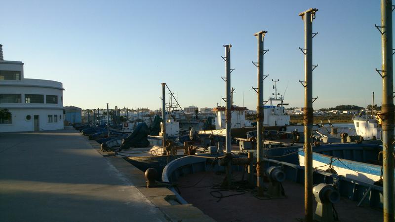 Primary Image for EA7IM