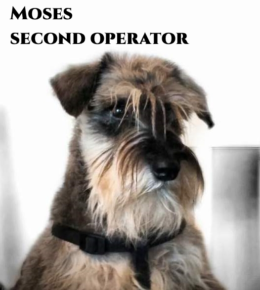 Primary Image for IK8OLM