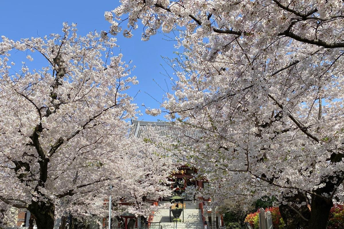 Primary Image for JI1VLM