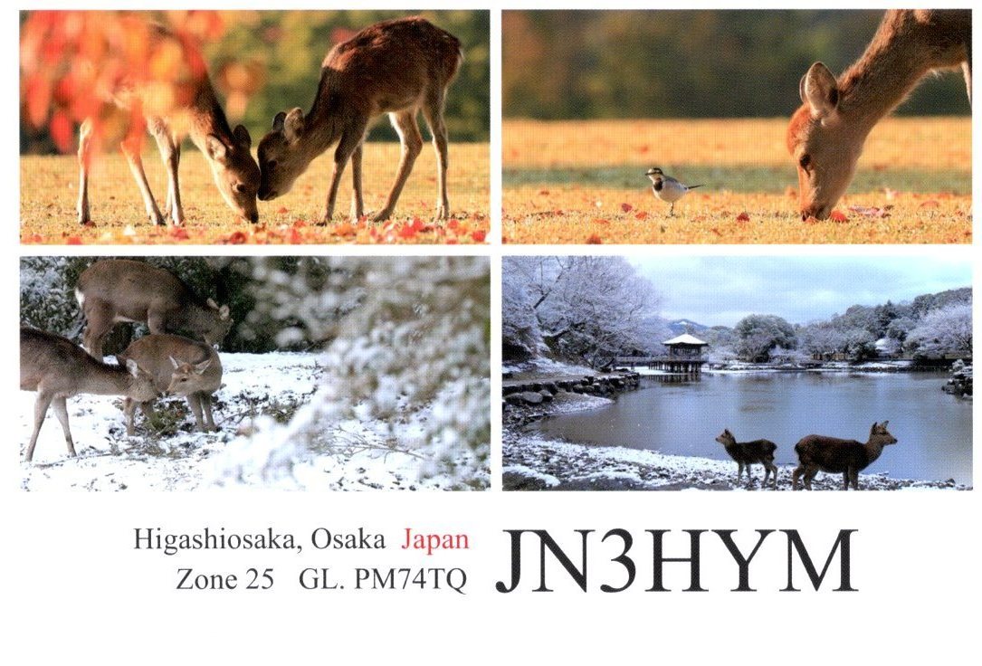 Primary Image for JN3HYM