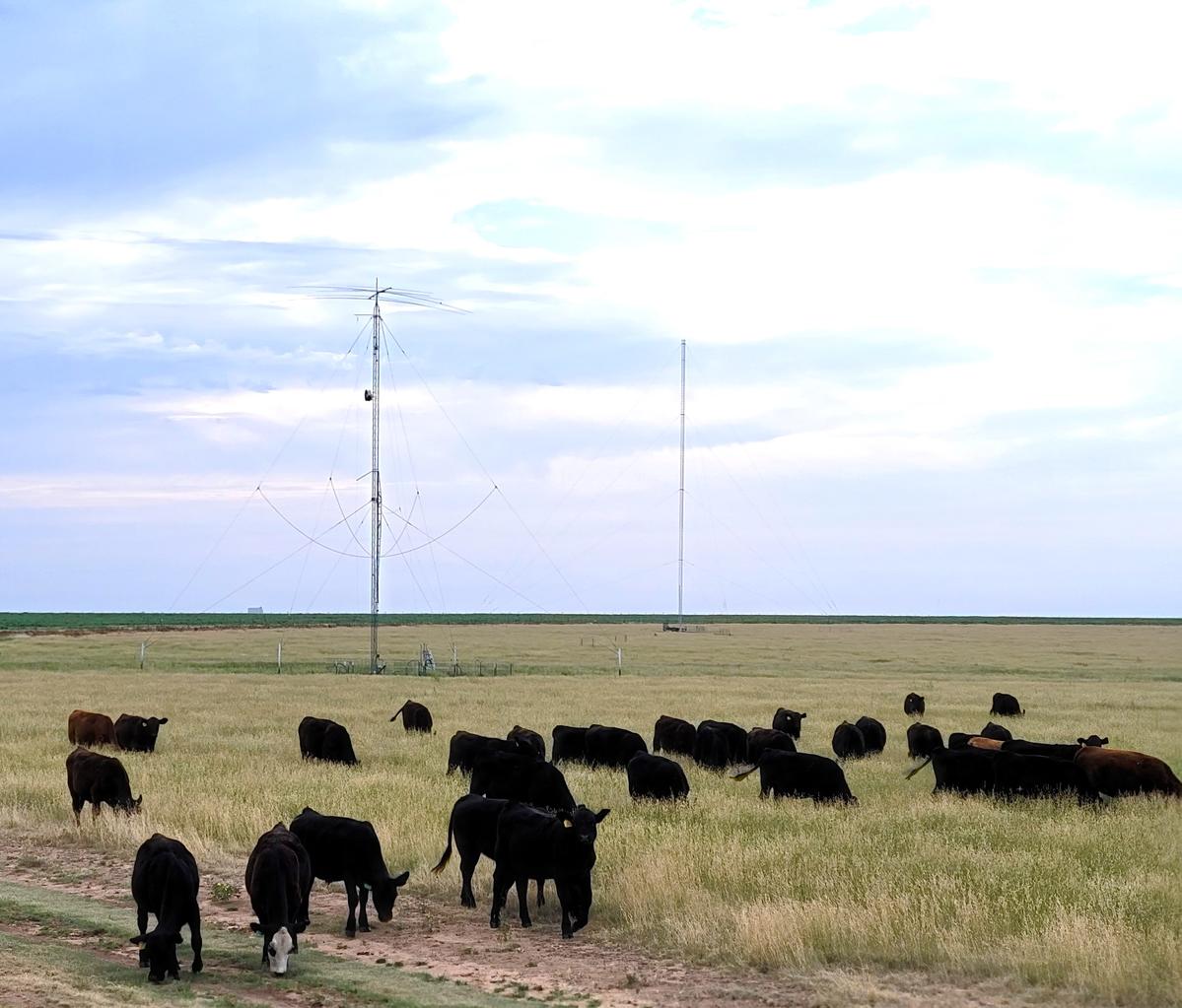 Primary Image for K5XM