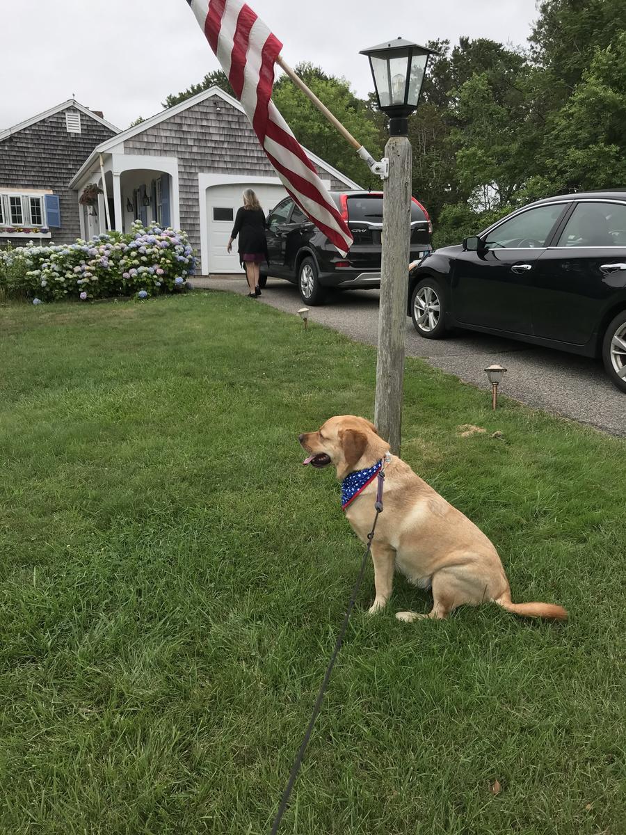 Primary Image for KC1QEM