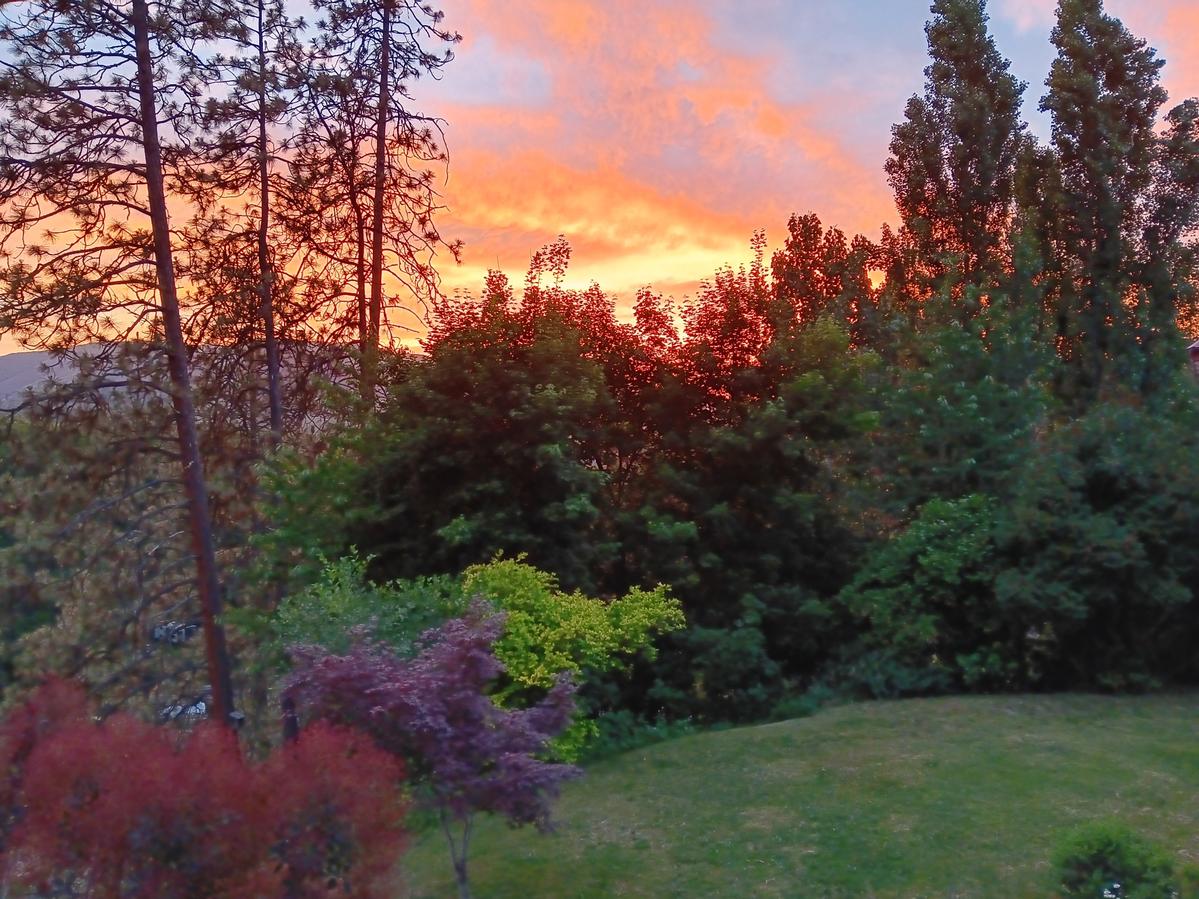 Primary Image for KW7DWM