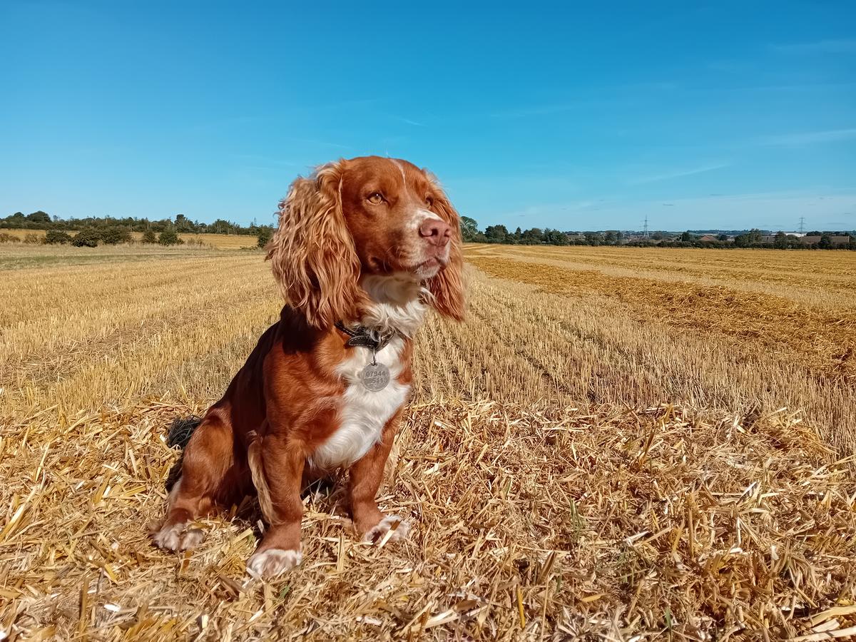 Primary Image for M0SDM