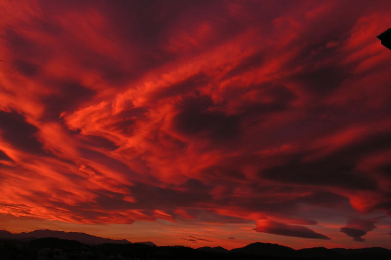 Primary Image for S53OM