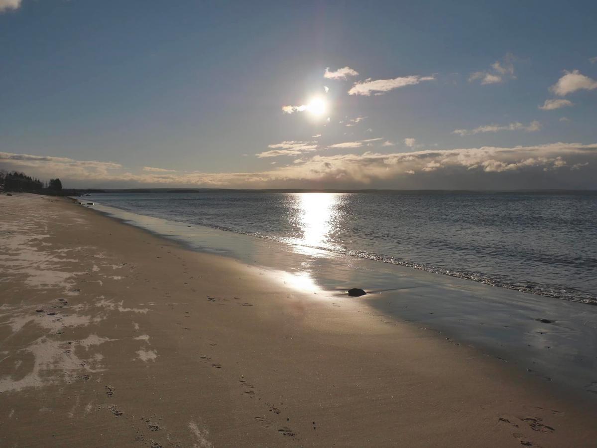 Primary Image for VE1LM