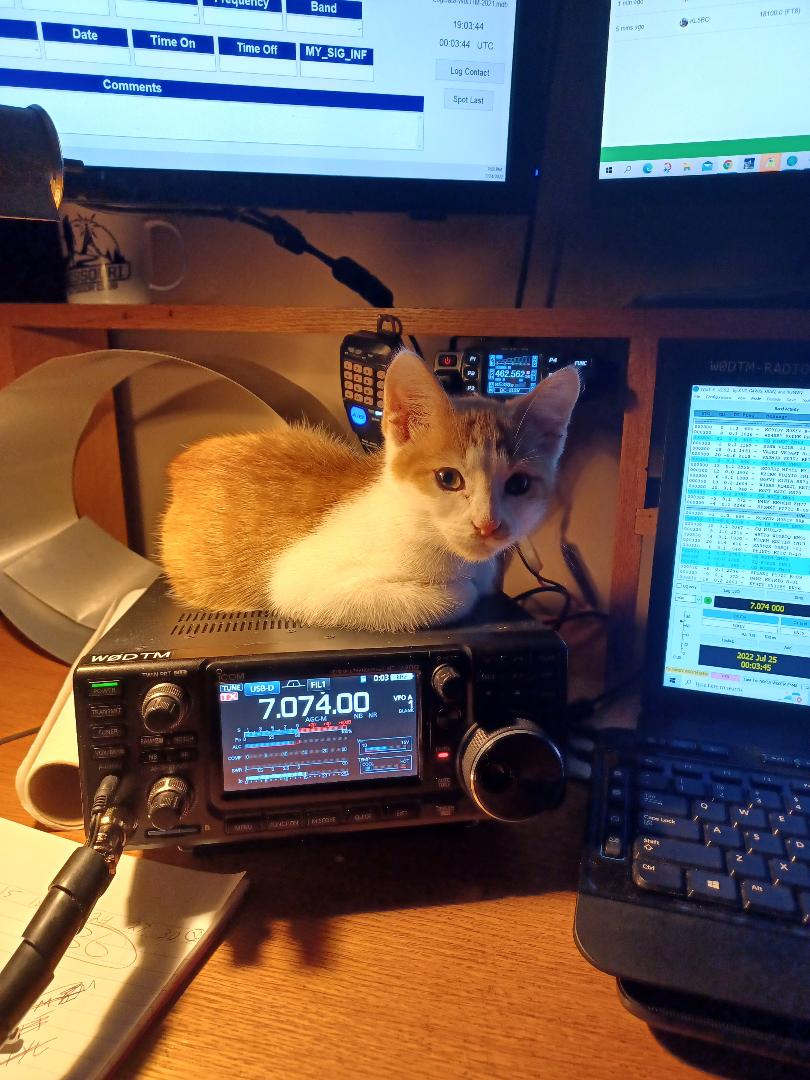 Primary Image for W0DTM