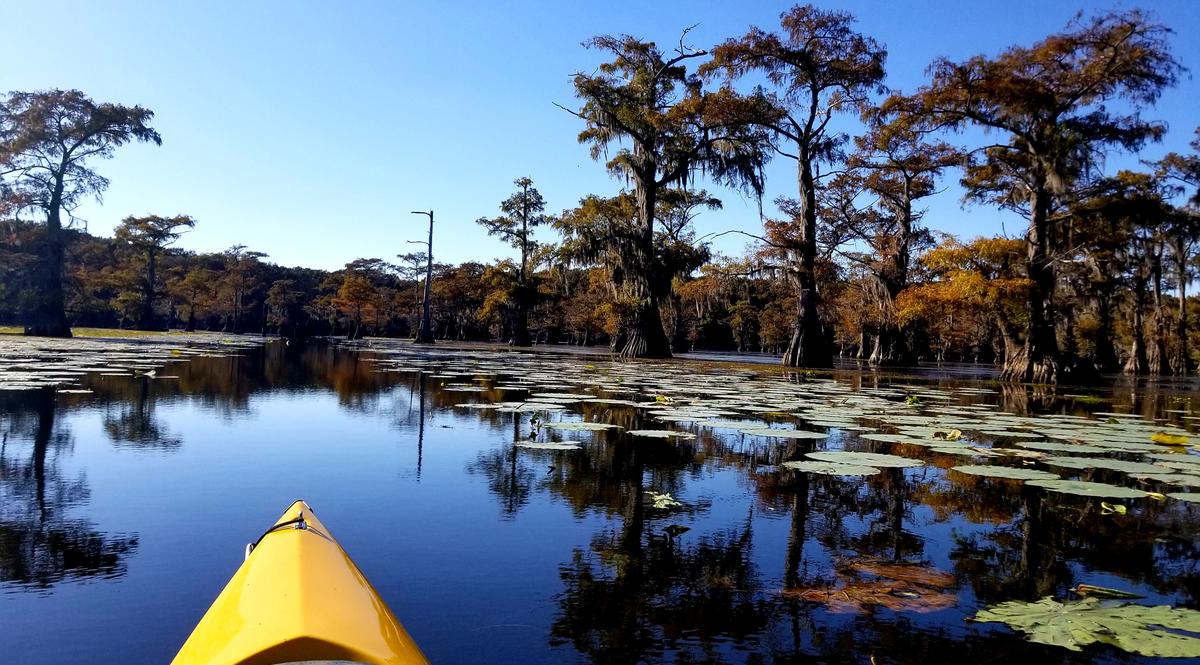 Primary Image for W5TWM