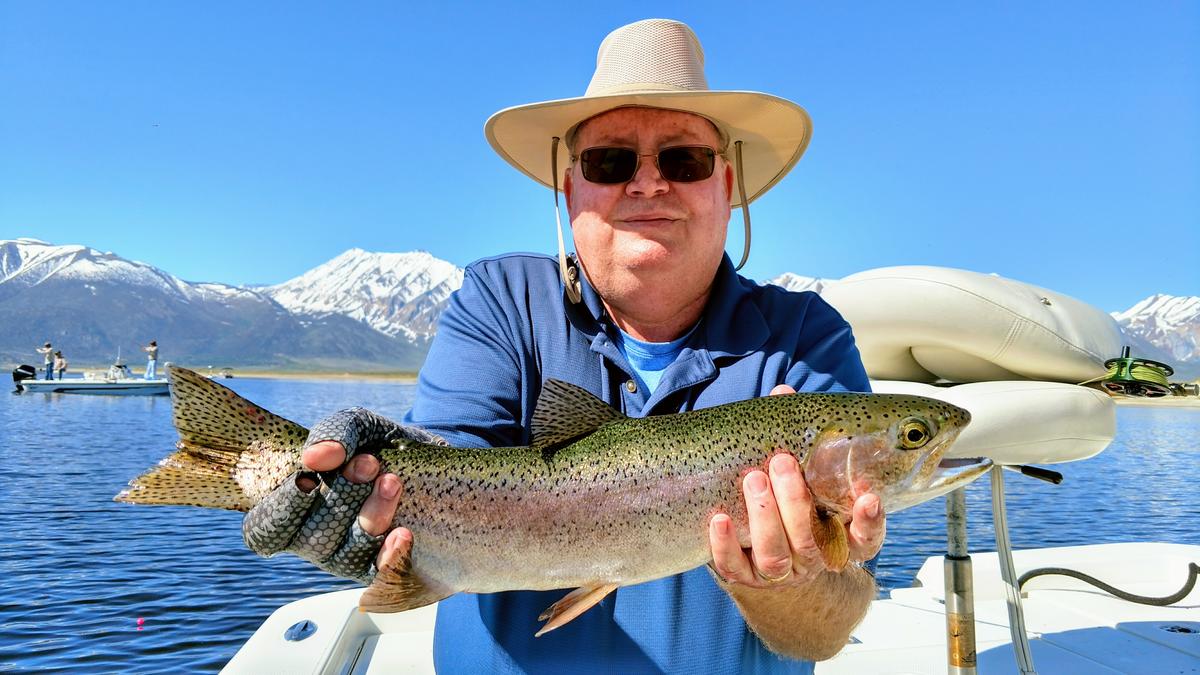 Primary Image for W6EMM