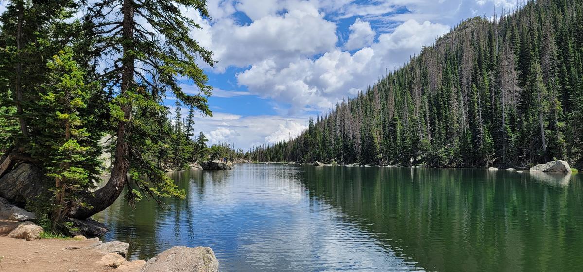 Primary Image for WG4M