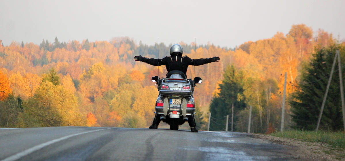 Primary Image for YL3GDM