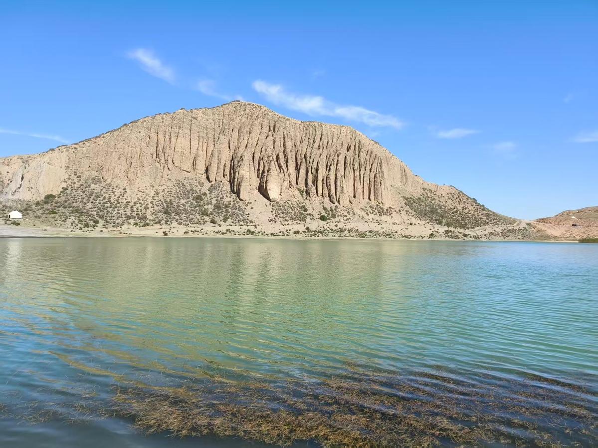 Primary Image for BH8GYN