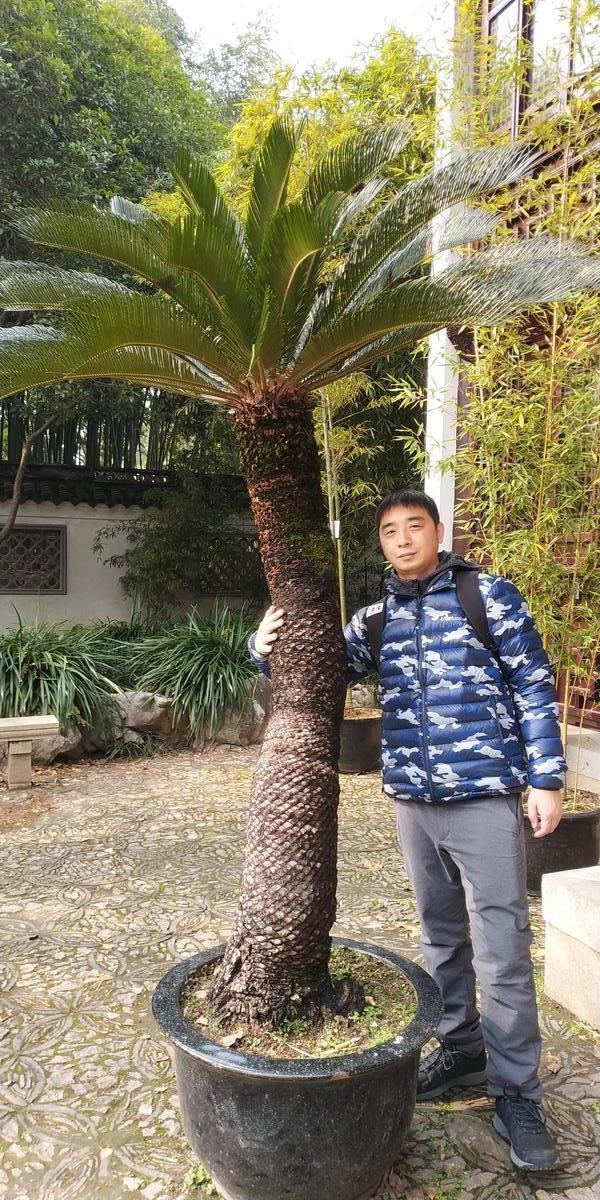 Primary Image for BI1GIN