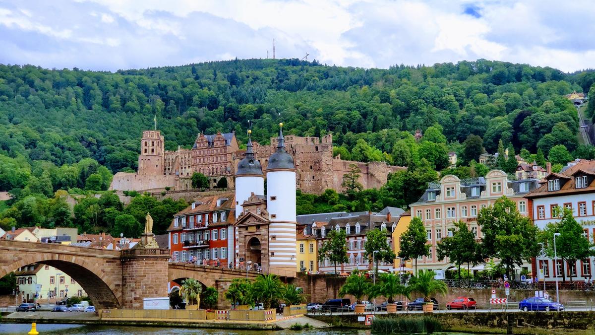 Primary Image for DF3TN