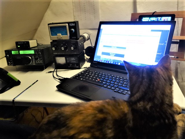 Primary Image for DJ4FAN