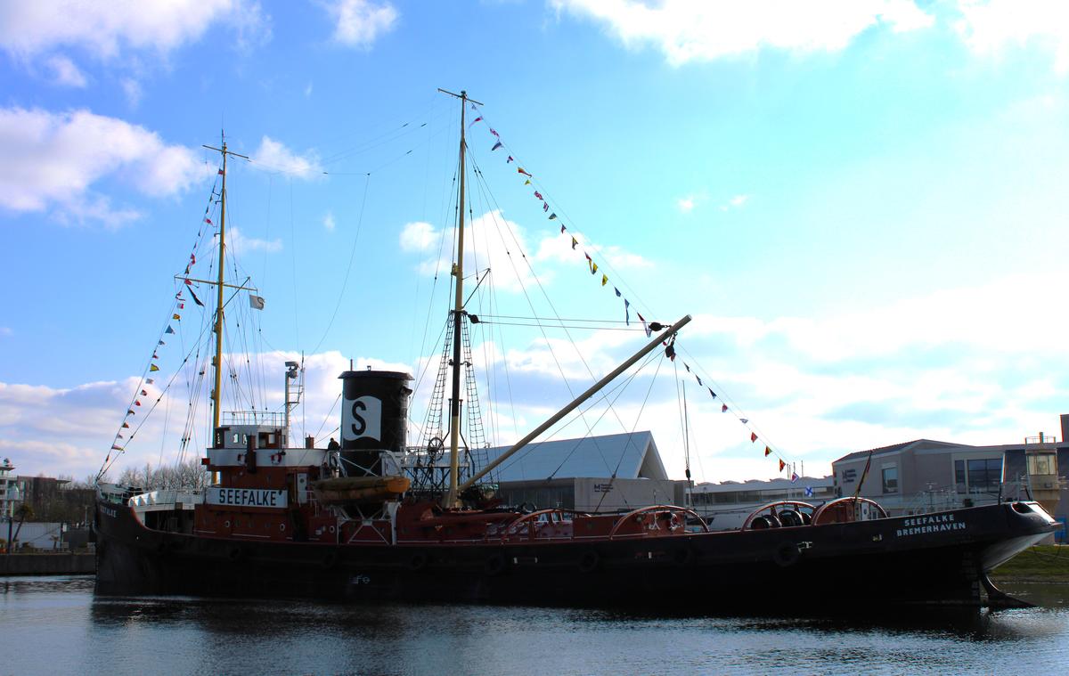 Primary Image for DK0SN