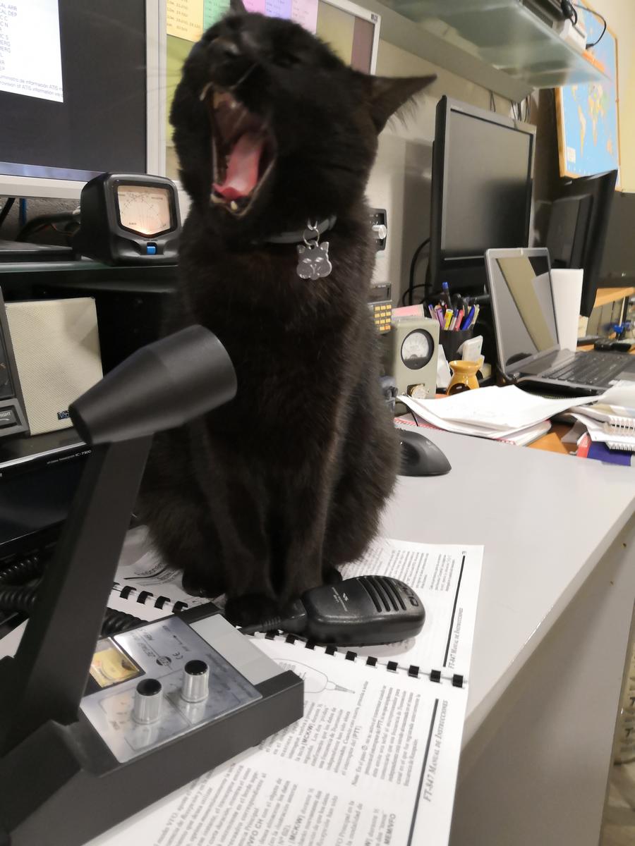 Primary Image for EA3HXN