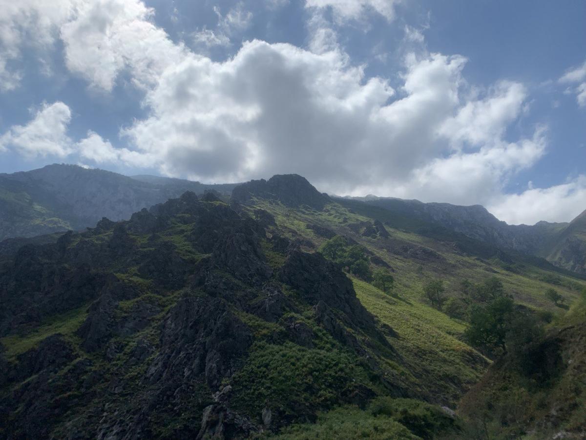 Primary Image for EA5ZN