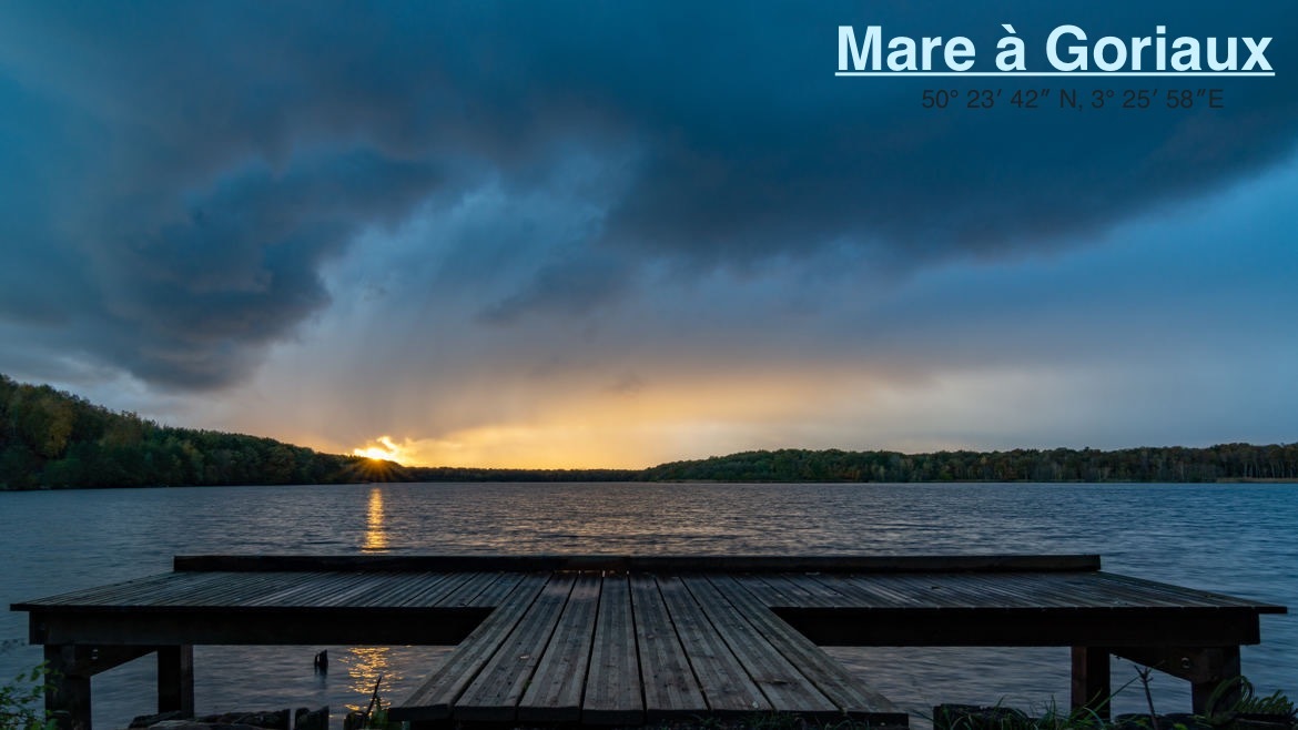 Primary Image for F4JPN