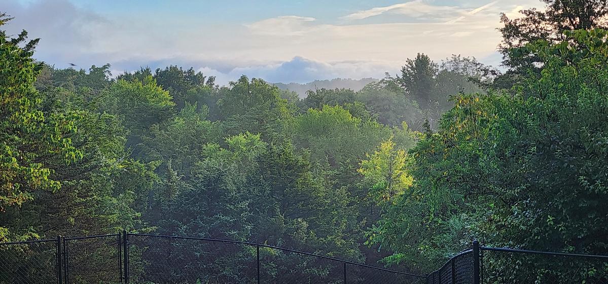 Primary Image for KC1MGN