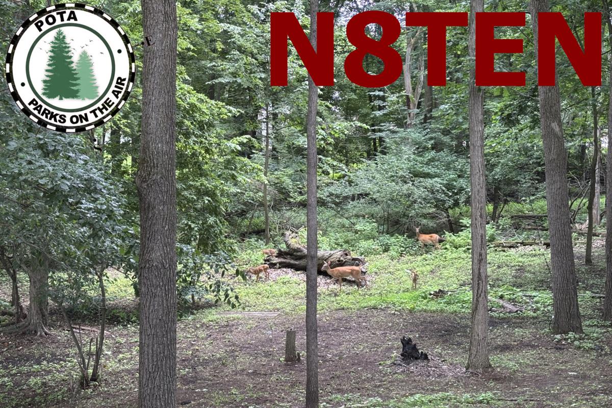 Primary Image for N8TEN