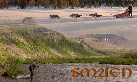 Primary Image for SM2IEN