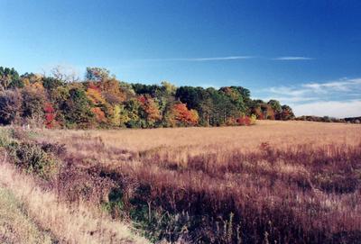 Primary Image for WA9AQN