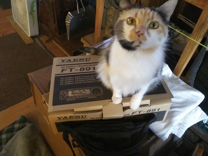 Primary Image for AJ6HO